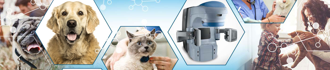 PetCure Oncology Image: PetCure Oncology