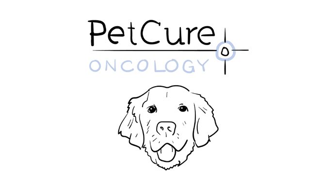 is prostate cancer in dogs treatable