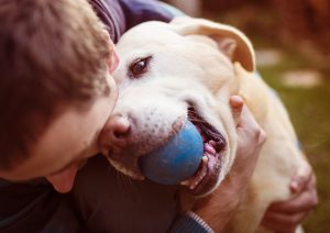 can cancer cause aggression in dogs