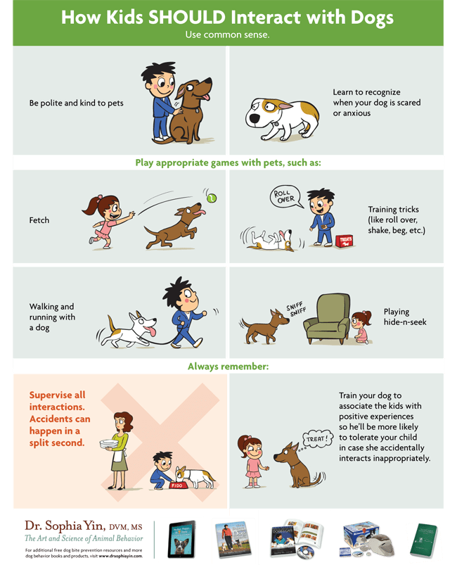 How Kids Should Interact With Dogs