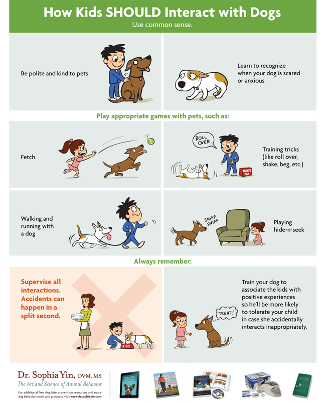 how to get dogs used to kids