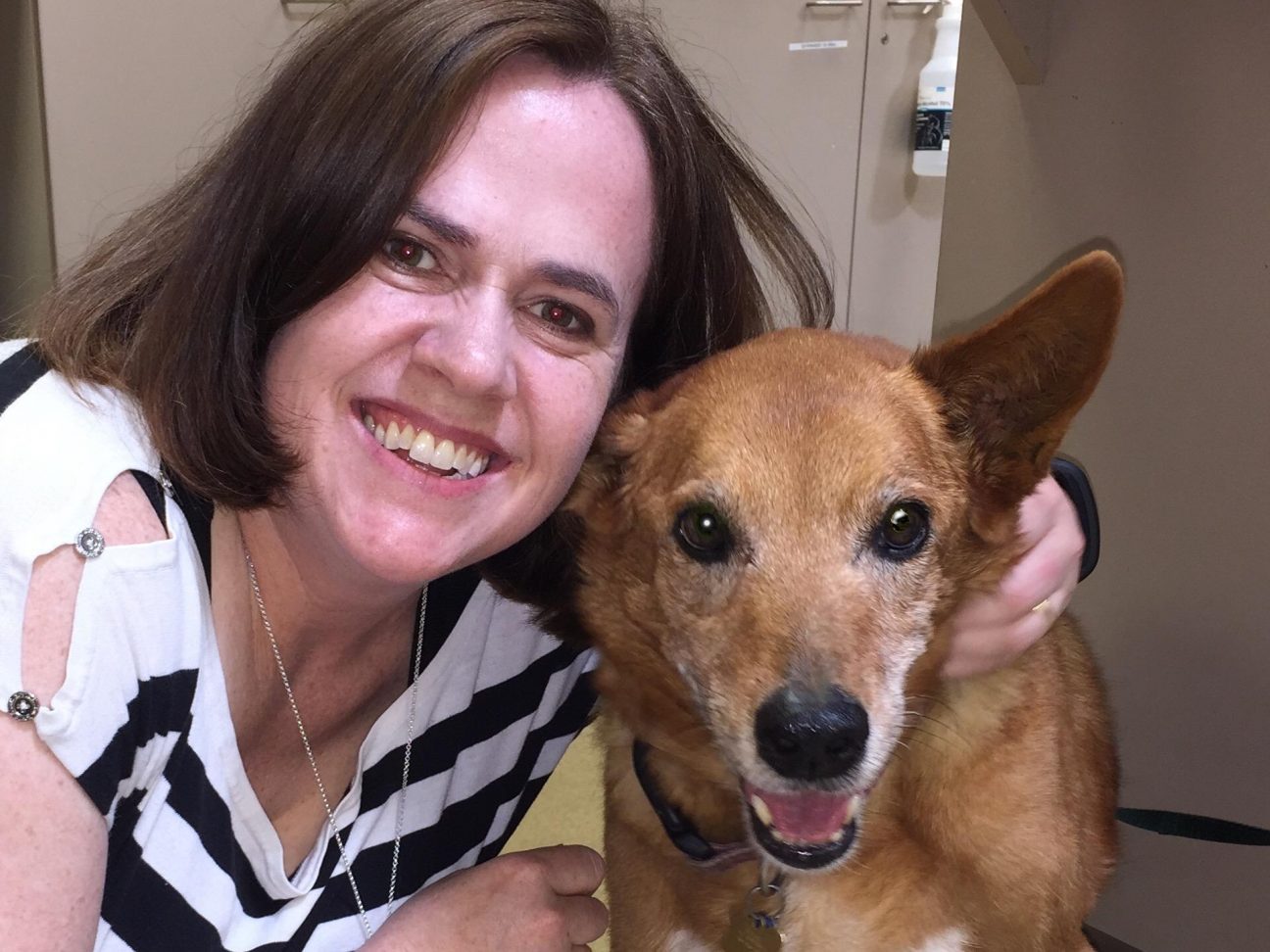 JoAnn Stewart cancer survivor PetCure Oncology blog