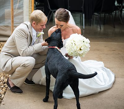 bride and groom with their lab