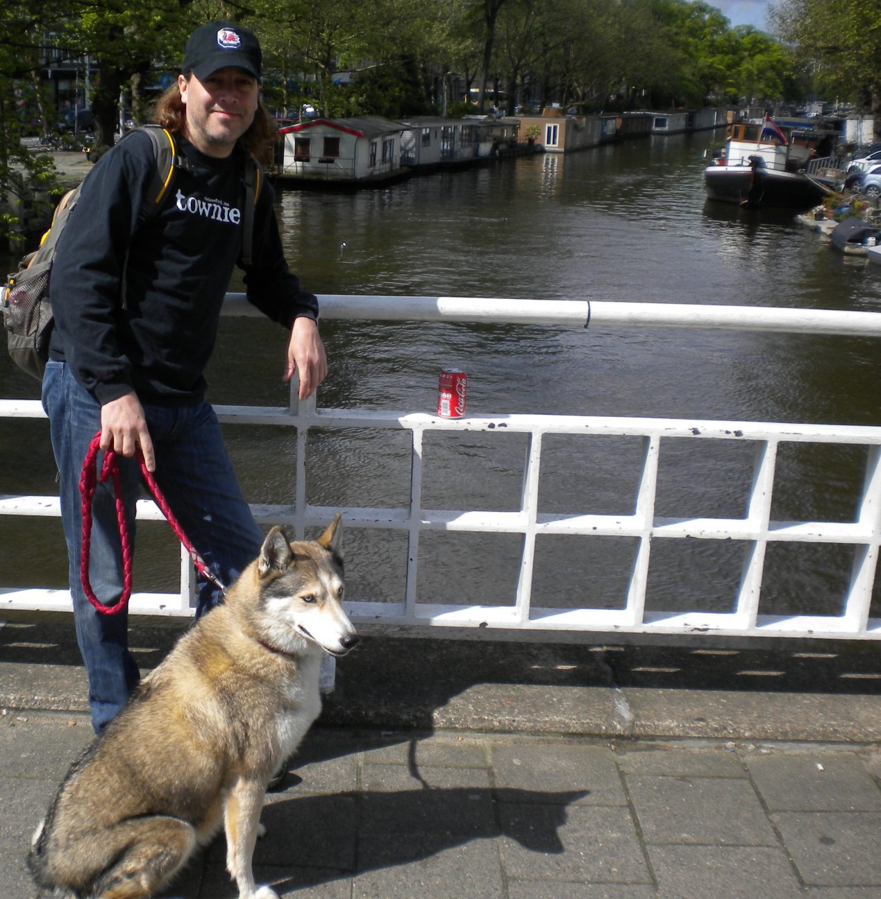 Siberian Husky treated for cancer at PetCure Oncology