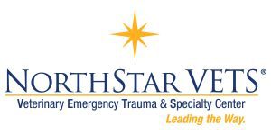 NorthStar VETS