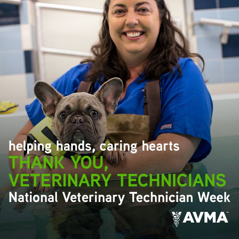 National Veterinary Technician Week AVMA