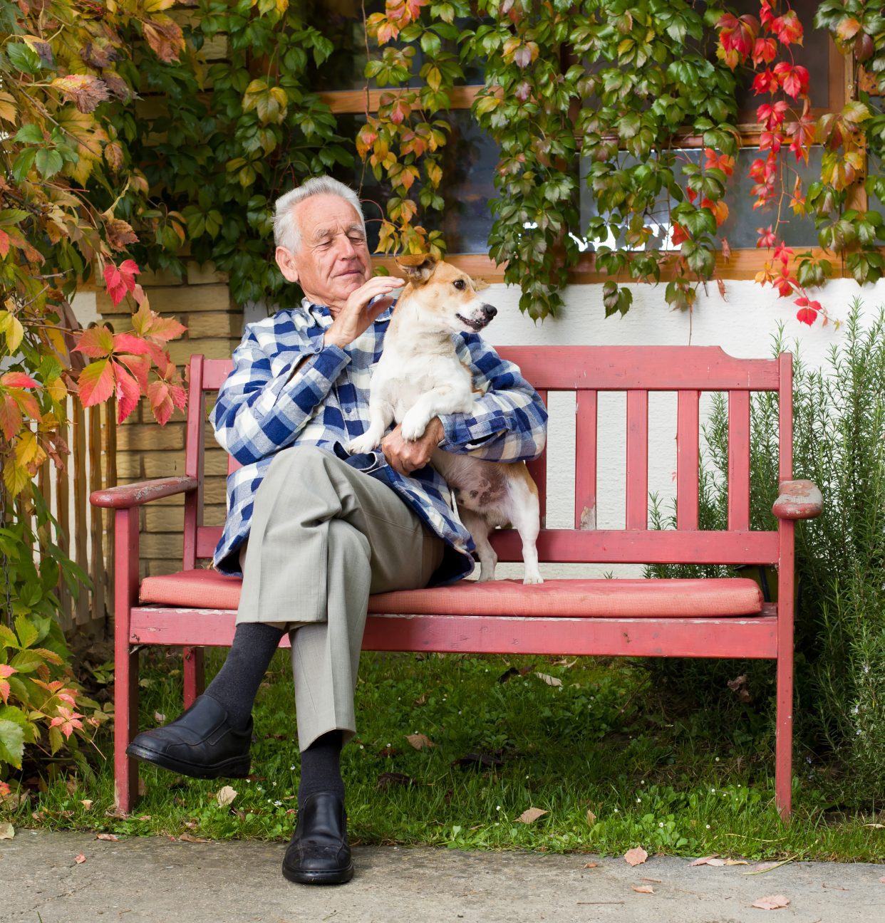 A man and his dog