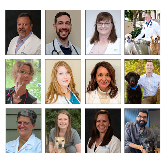 PetCure's Radiation and Medical Oncology Specialists