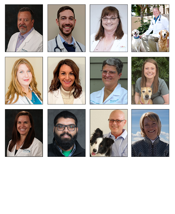 PetCure's Radiation and Medical Oncology Specialists