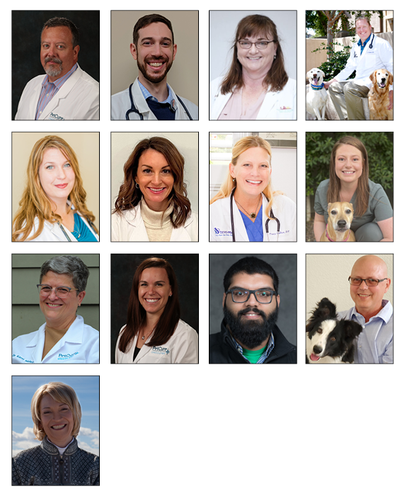 PetCure's Radiation and Medical Oncology Specialists