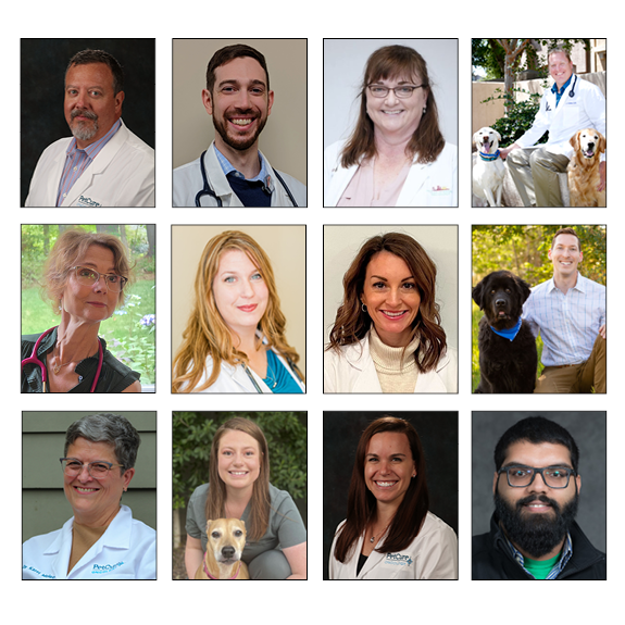 PetCure's Radiation and Medical Oncology Specialists