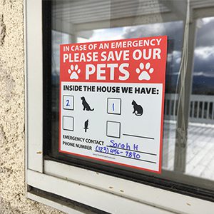 pet rescue window decal