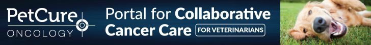 Portal for Collaborative Cancer Care