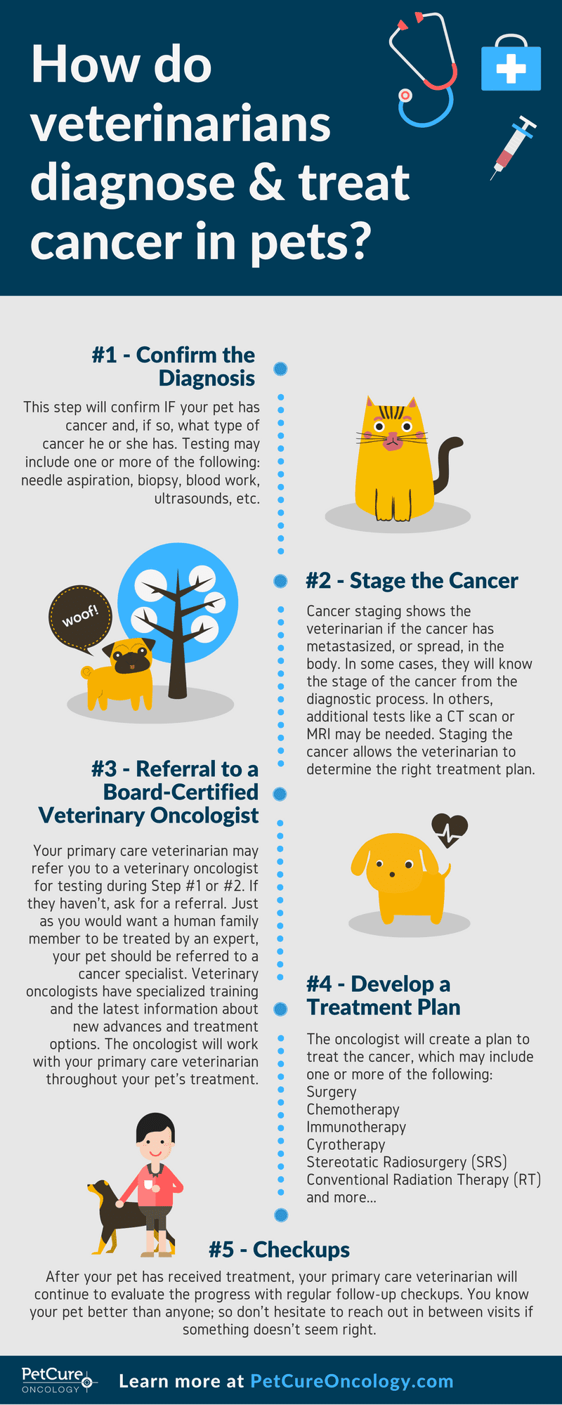 pet cancer diagnosis what to expect infographic