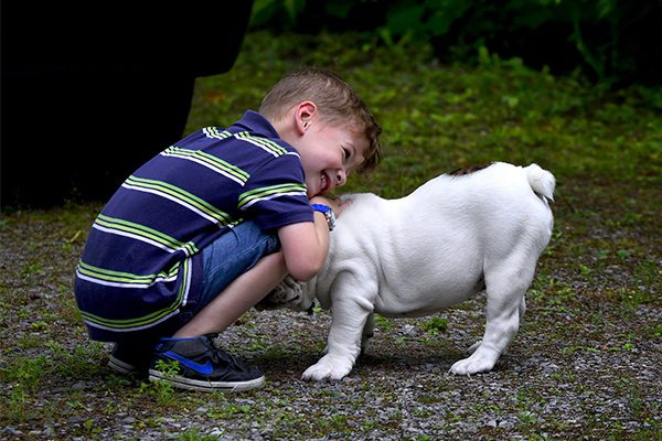 boy with pet dog playing in the grass
