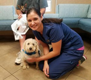 Roy receives Pet Hero cape after Stereotactic Radiation SRS/SRT for a meningioma