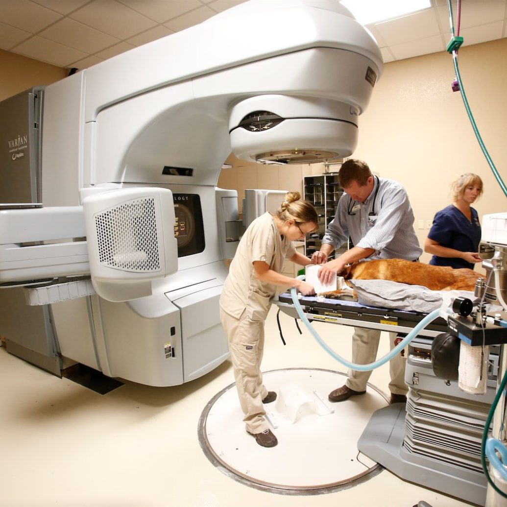 Screen-Shot-2015-07-27-at-3.40