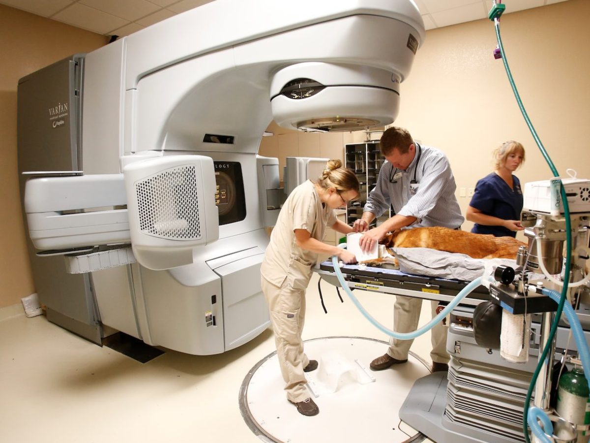 Screen-Shot-2015-07-27-at-3.40