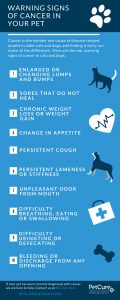 Infographic Top 10 warning signs of cancer in your pet