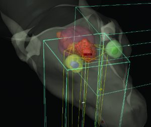 PetCUre Oncology radialogicas pre-treatment image for golden retriever
