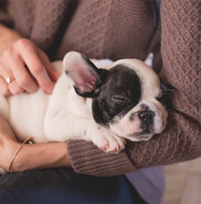 is pet insurance worth it for a puppy