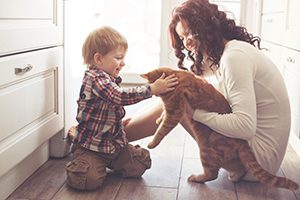 mother, son and cat in the kitchen playing with orange tabby