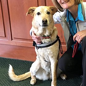 Mandie the Therapy Dog inspires others