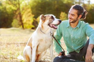 can skin cancer in dogs be treated